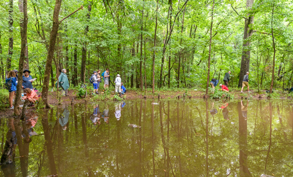 Campers walk around a wetland.