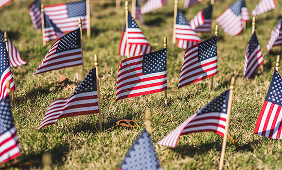 Photo of small American flags in field on campus