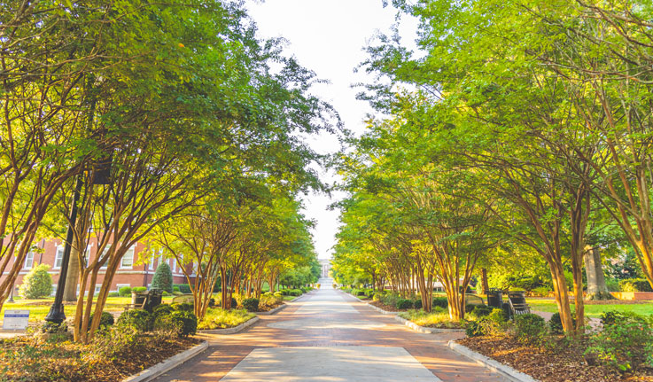 Photo of College Ave