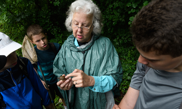 Woman showing turtle to kids