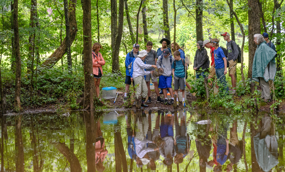 kids and teacher at a swamp