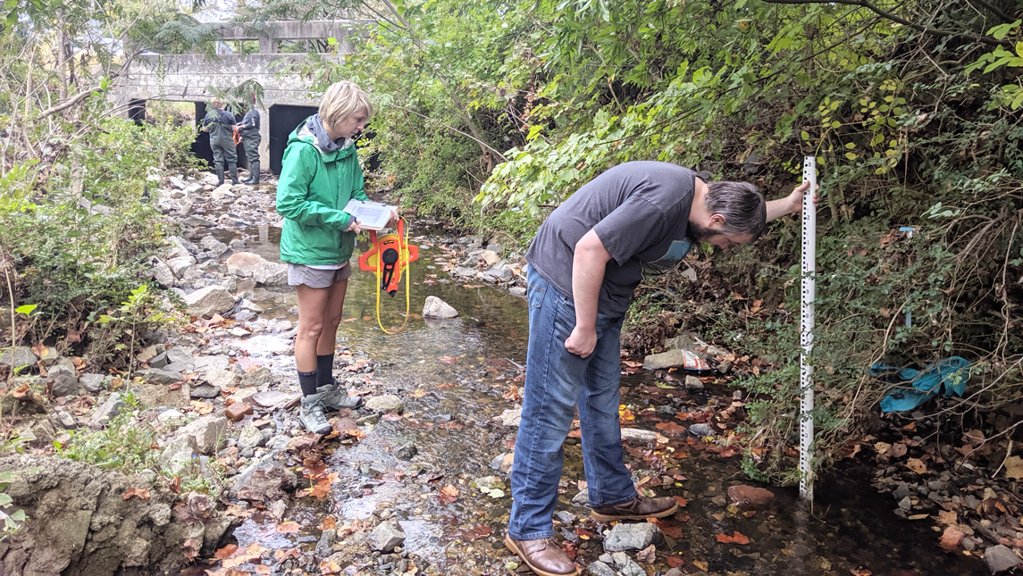 Geography, sustainability and environment students collect data in a creek bed