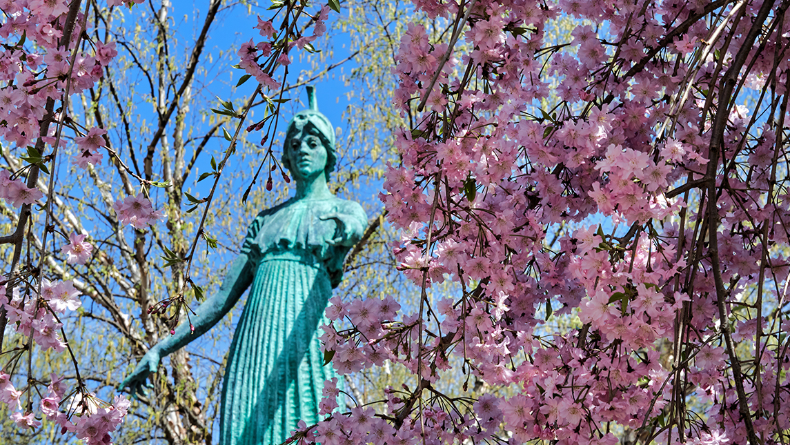 Minerva statue behind pink flowers