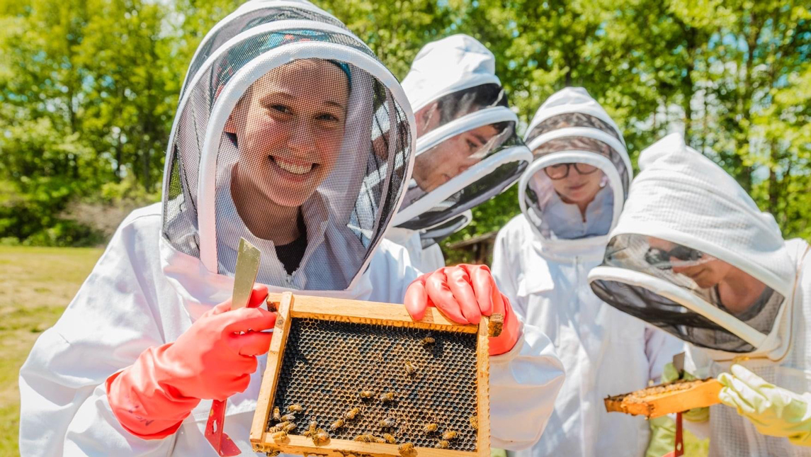 a beekeeper with a flat of bees