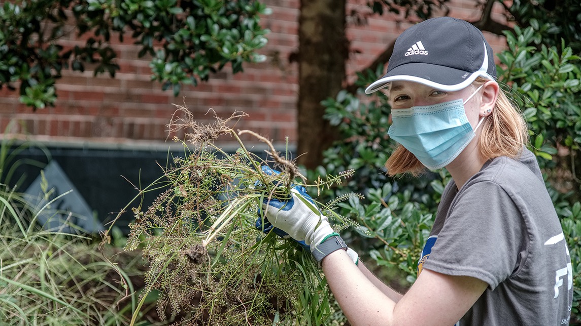 Student weeding the UNCG Gardens