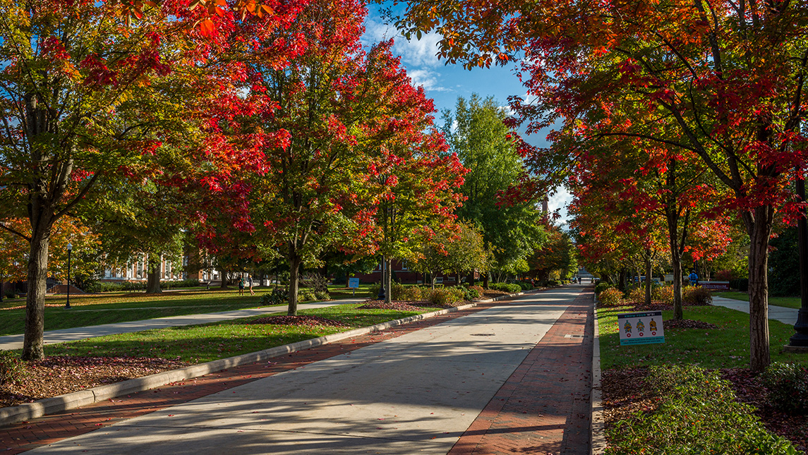fall foliage on College Avenue on campus