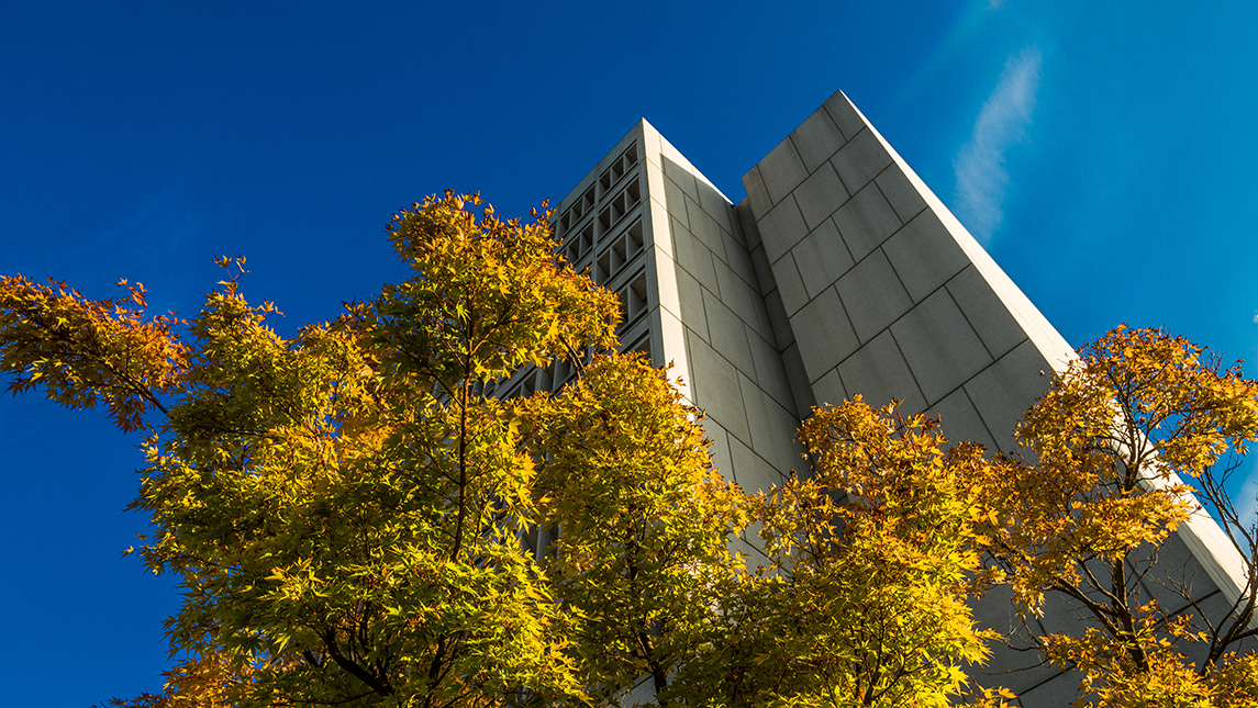 fall foliage with library tower and blue sky