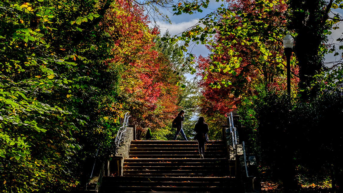 students walking up stairs on campus with fall foliage