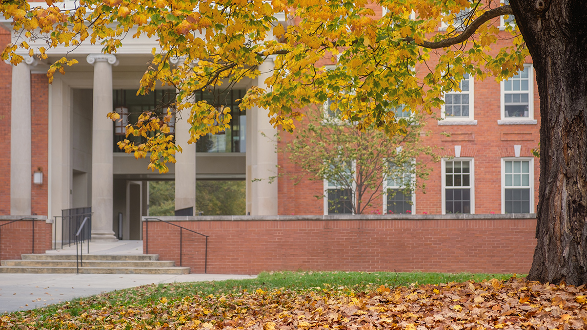 fall foliage with campus building in background