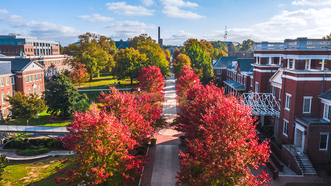 Aerial view of fall foliage on College Avenue