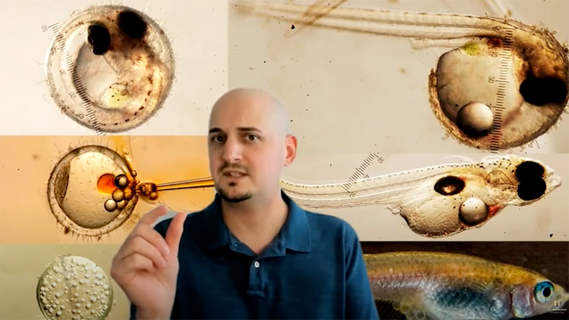 Screenshot of virtual presentation; man presenting with background image showing fish life cycle