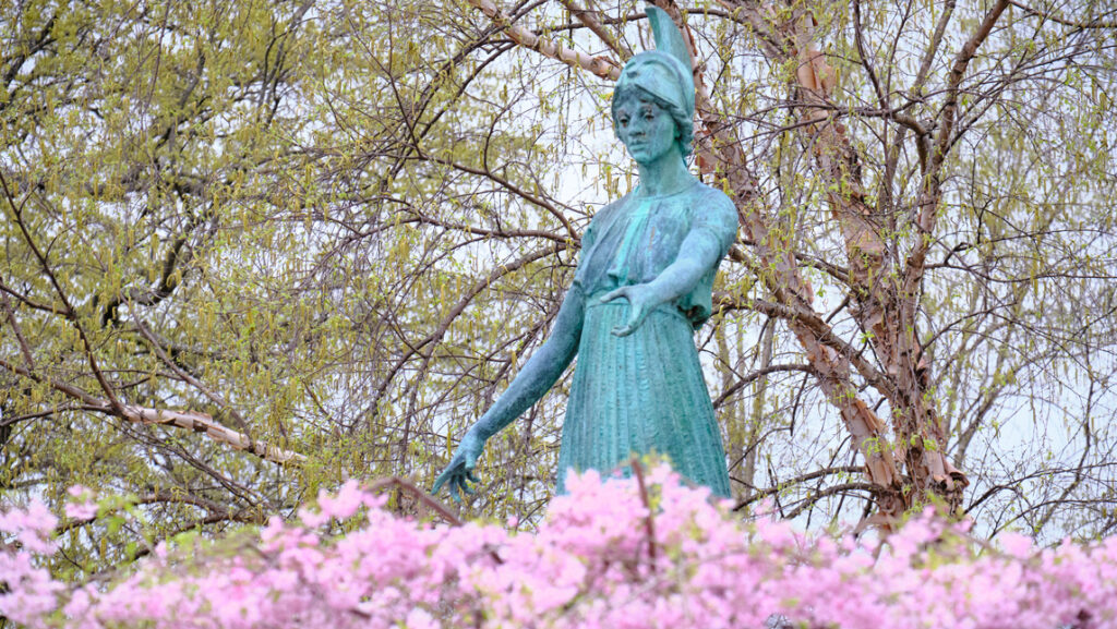 blossoms and statue