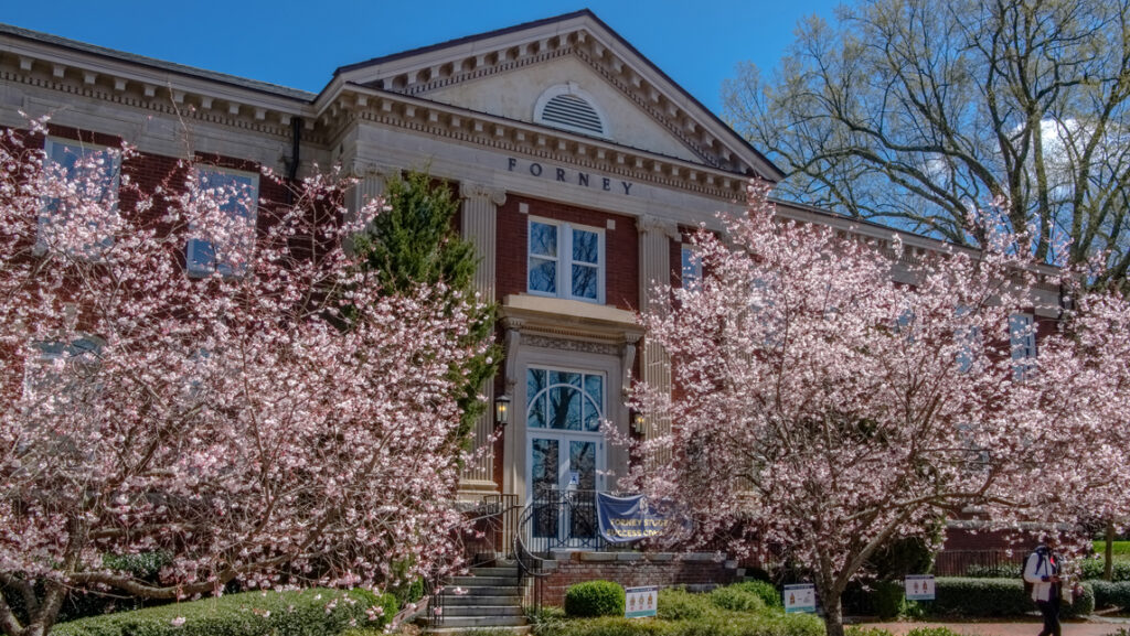 classical style building and cherry blossoms