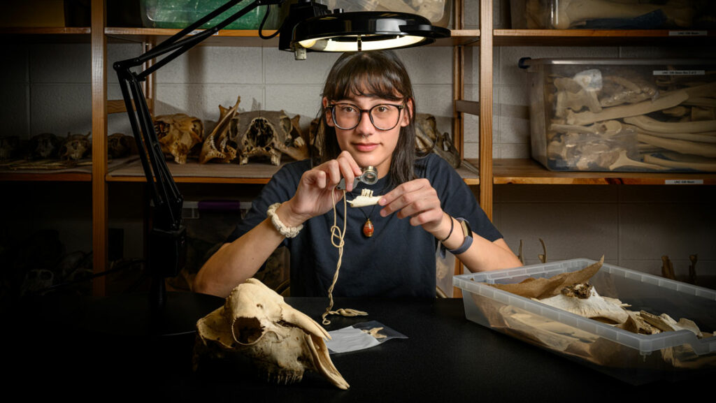 student researcher examining bones