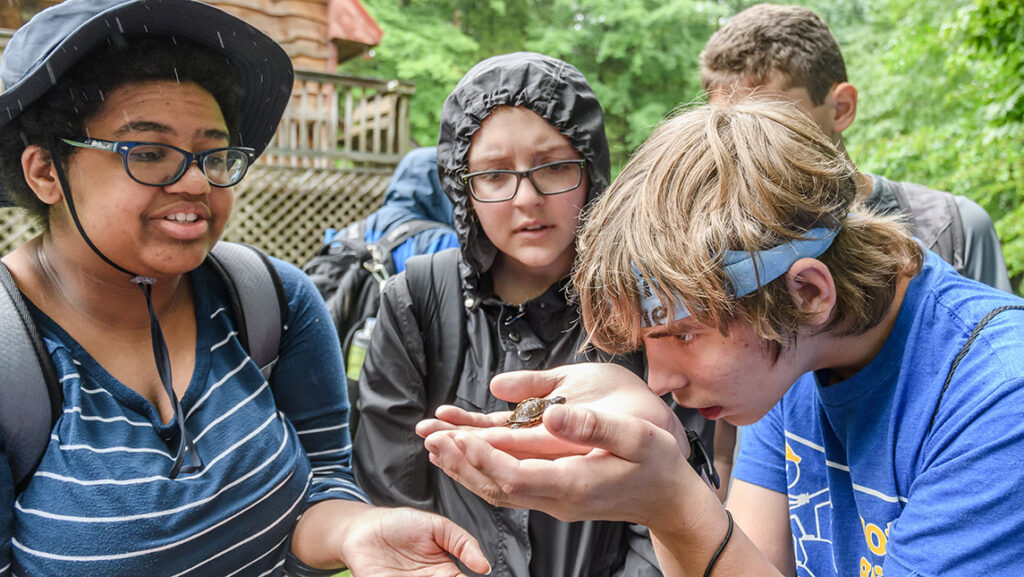 Students looking at a turtle at the Herpetological Research Experience