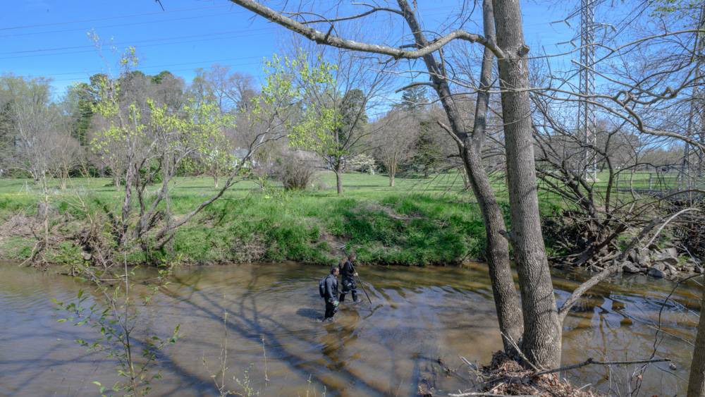 Two individuals walk ankle deep in a creek surrounded by trees.