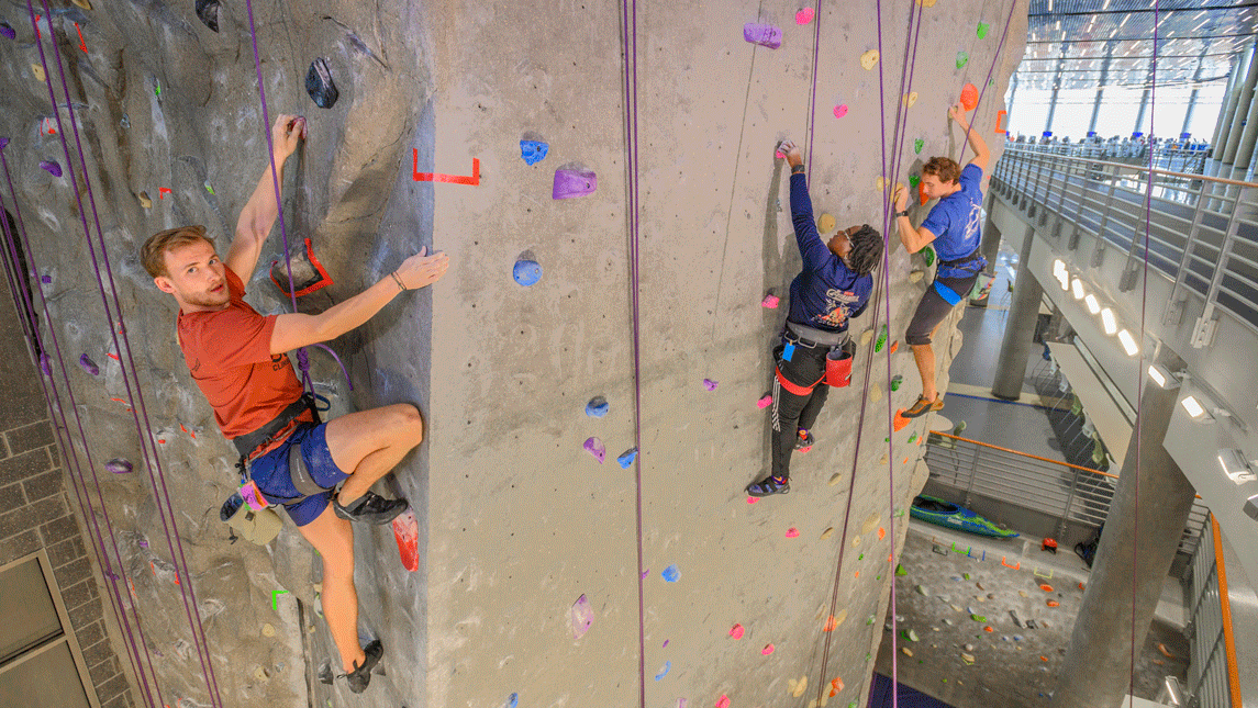 Students on Rock climbing wall