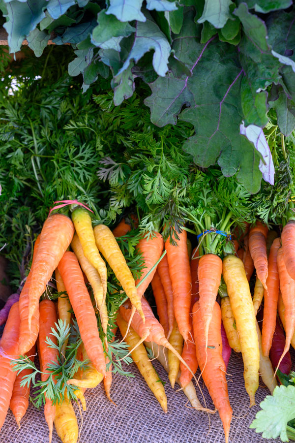 fresh carrots