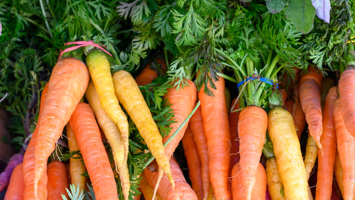 Featured Image for Through community-engaged research, ‘Everybody Eats’