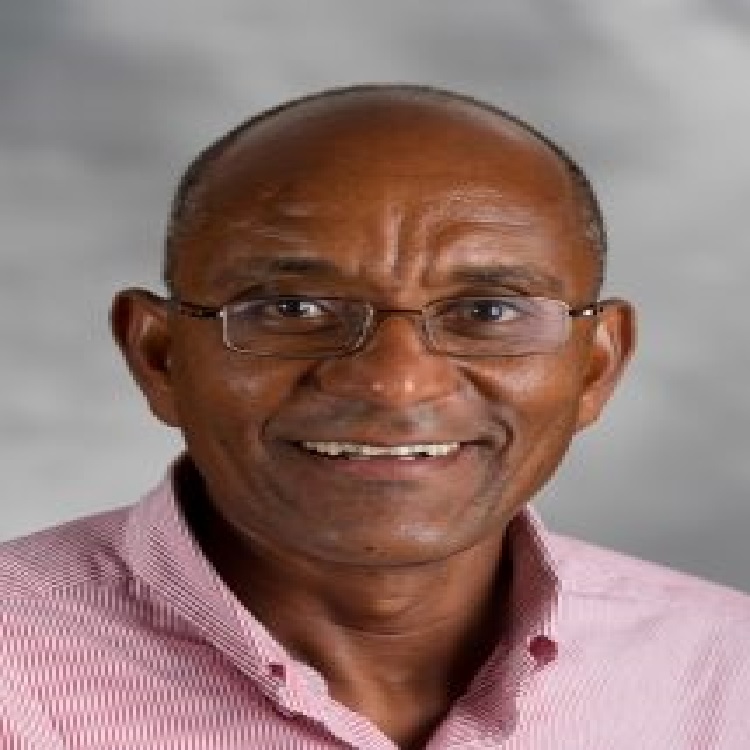 Image of Ayalew Lulseged