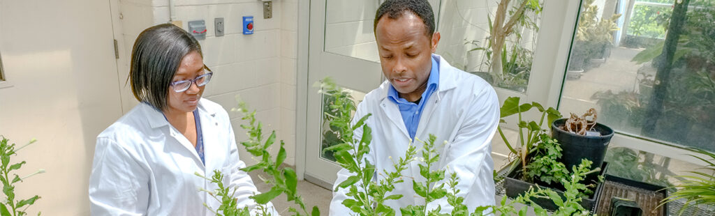A female Biology students works with plants in the greenhouse with Biology professor. Both are wearing white lab coats