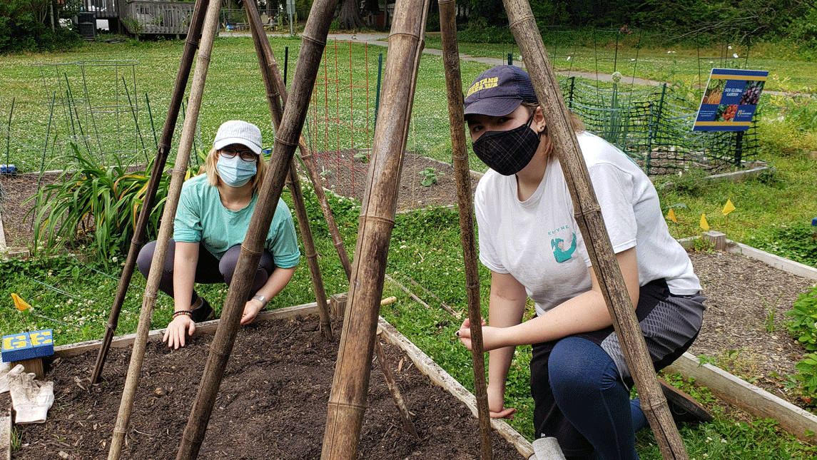 Spartan volunteers working in the UNCG Community Garden