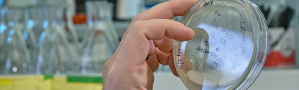 A professor examines a petri dish at the Joint School of Nanoscience and Nanoengineering.