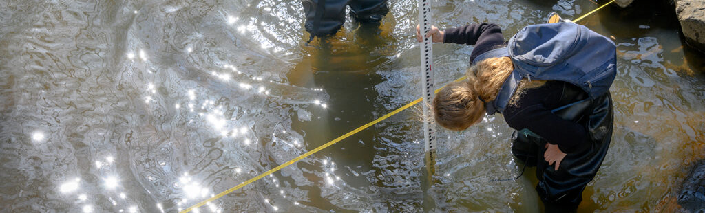 A male PhD student and female professor wade in a creek. The professor is measuring and the student is taking notes.