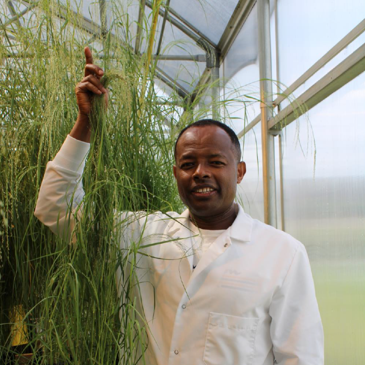 Headshot of Ayalew Osena