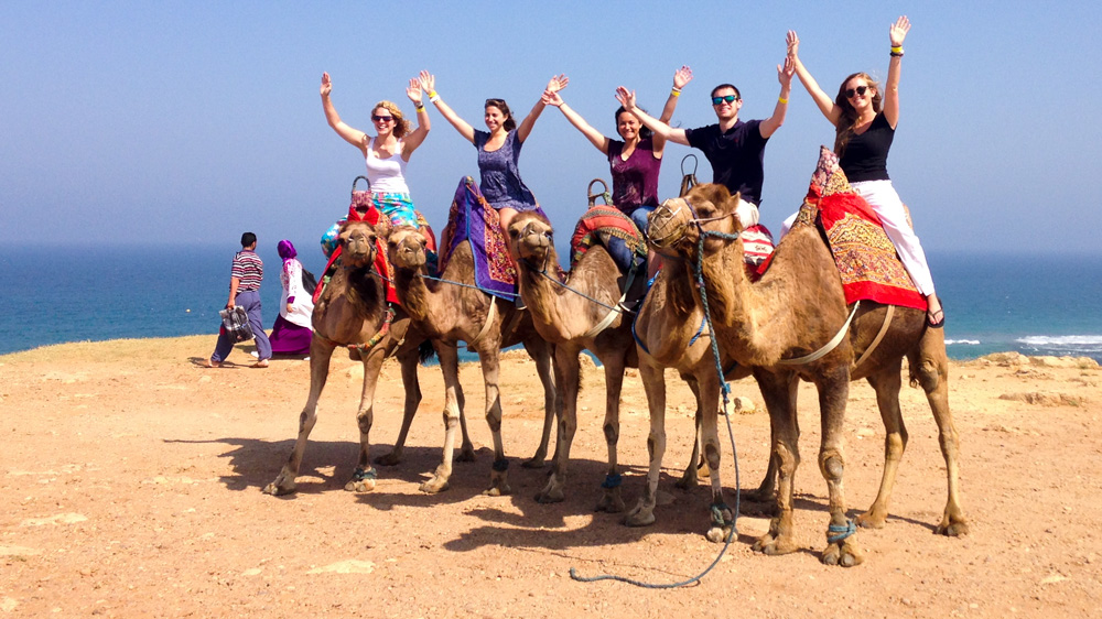 Students riding camels in Spain