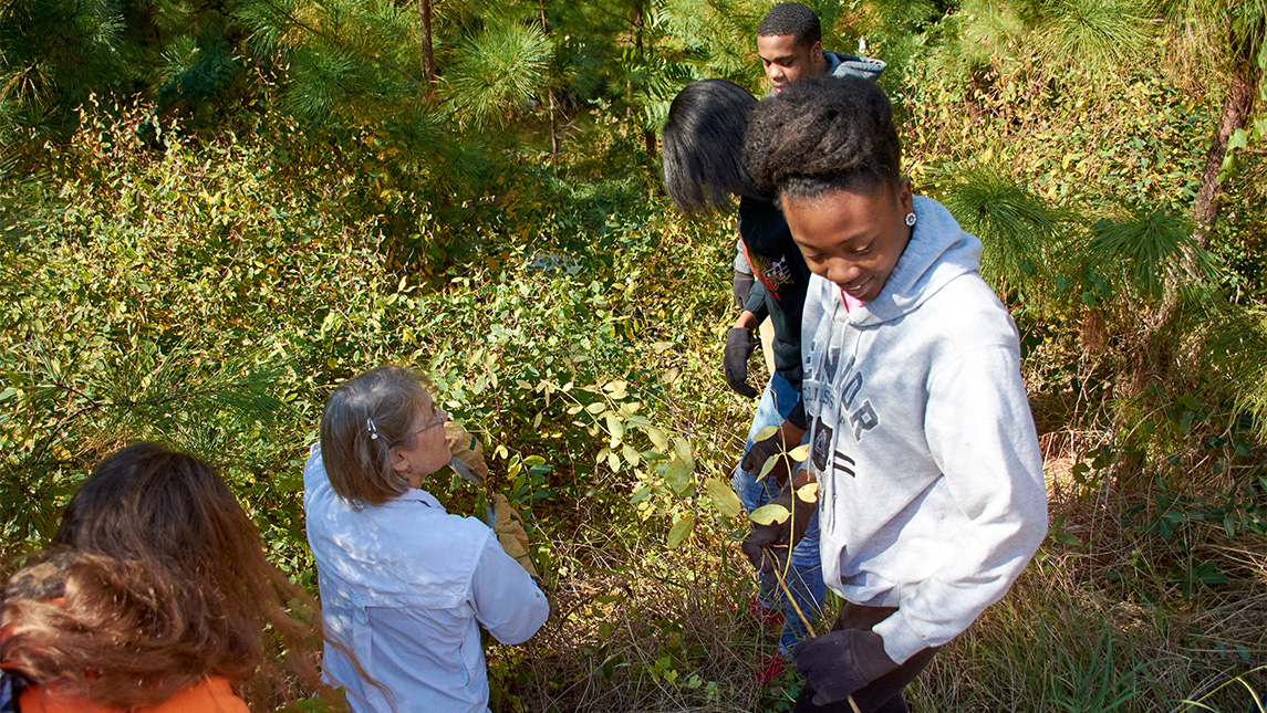 Students pull ivy out of the brush in Peabody Park.