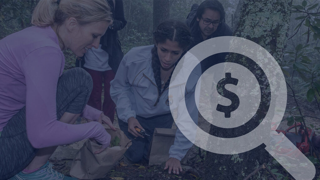 A professor and students collect nature samples from the dirt.