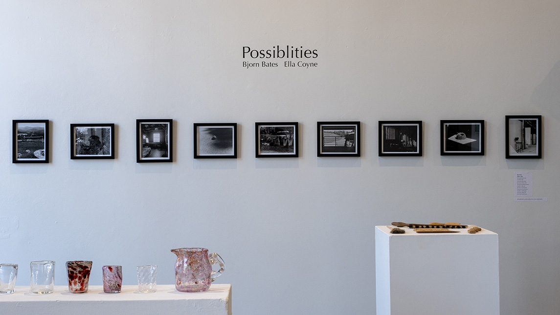 Art displayed In the "Possibilities" show