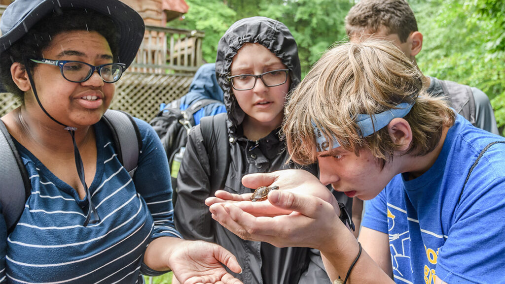 Students look at a tiny turtle in one of their hands.