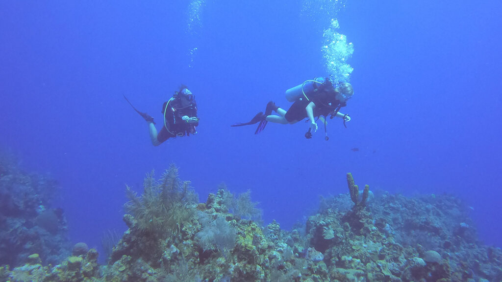Two people scuba diving during UNCG study Abroad