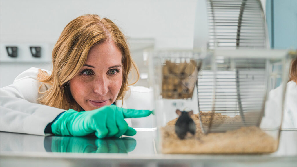 Dr. Traci Parry looks at a mouse in her lab.
