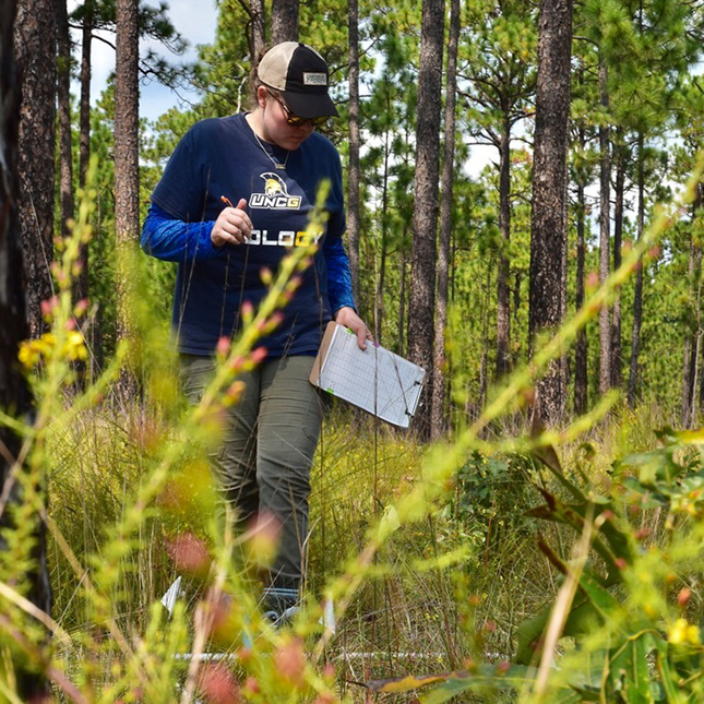 Young woman in UNCG t-shirt walks through a pine forest with a clipboard and pen. 