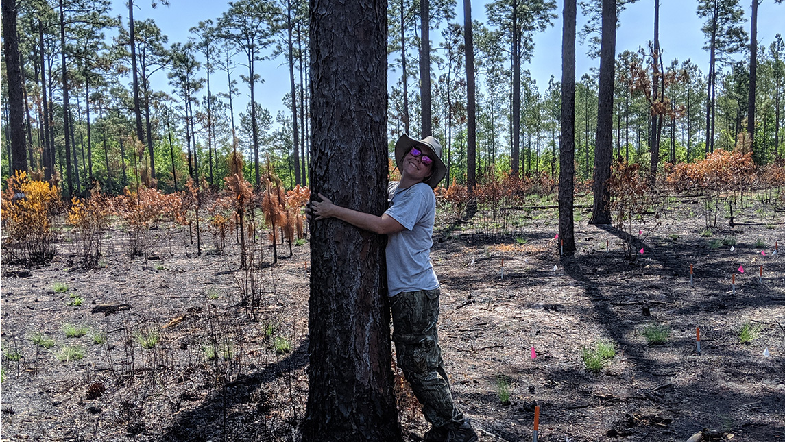 Young woman hugs a fire damaged pine tree in the forest.