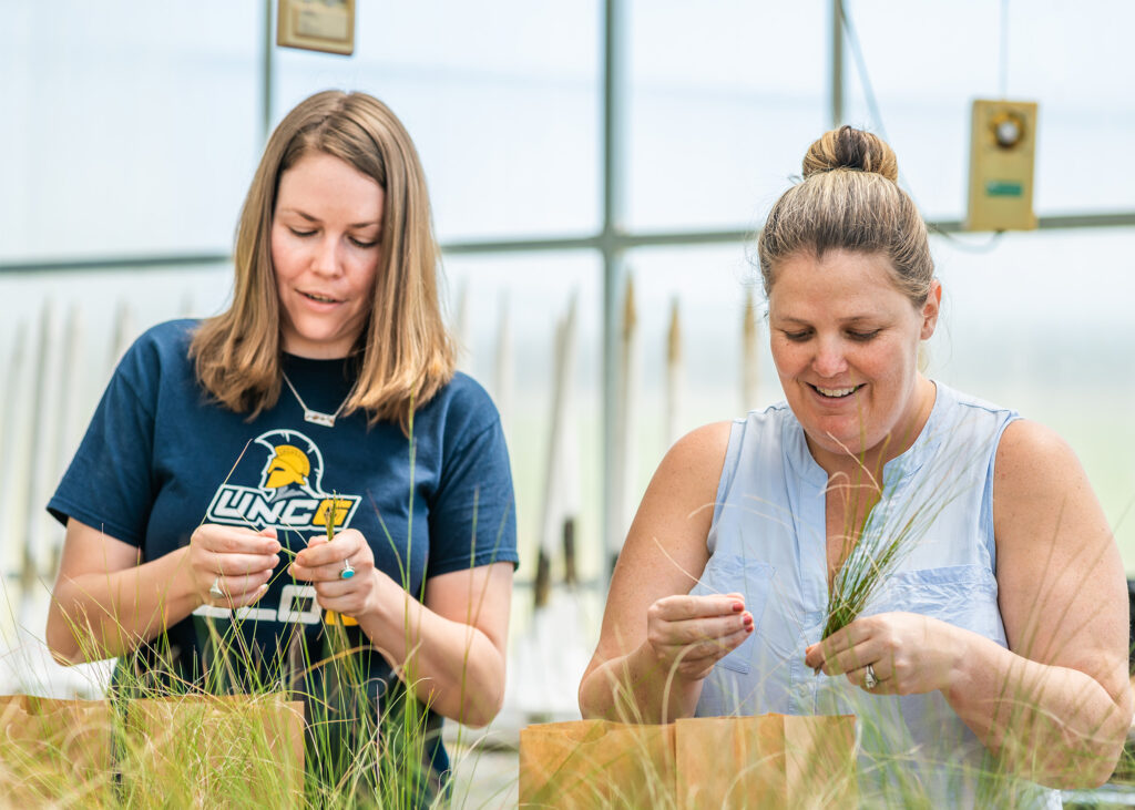 Student in UNCG t-shirt works with another woman to study grasses in a greenhouse.