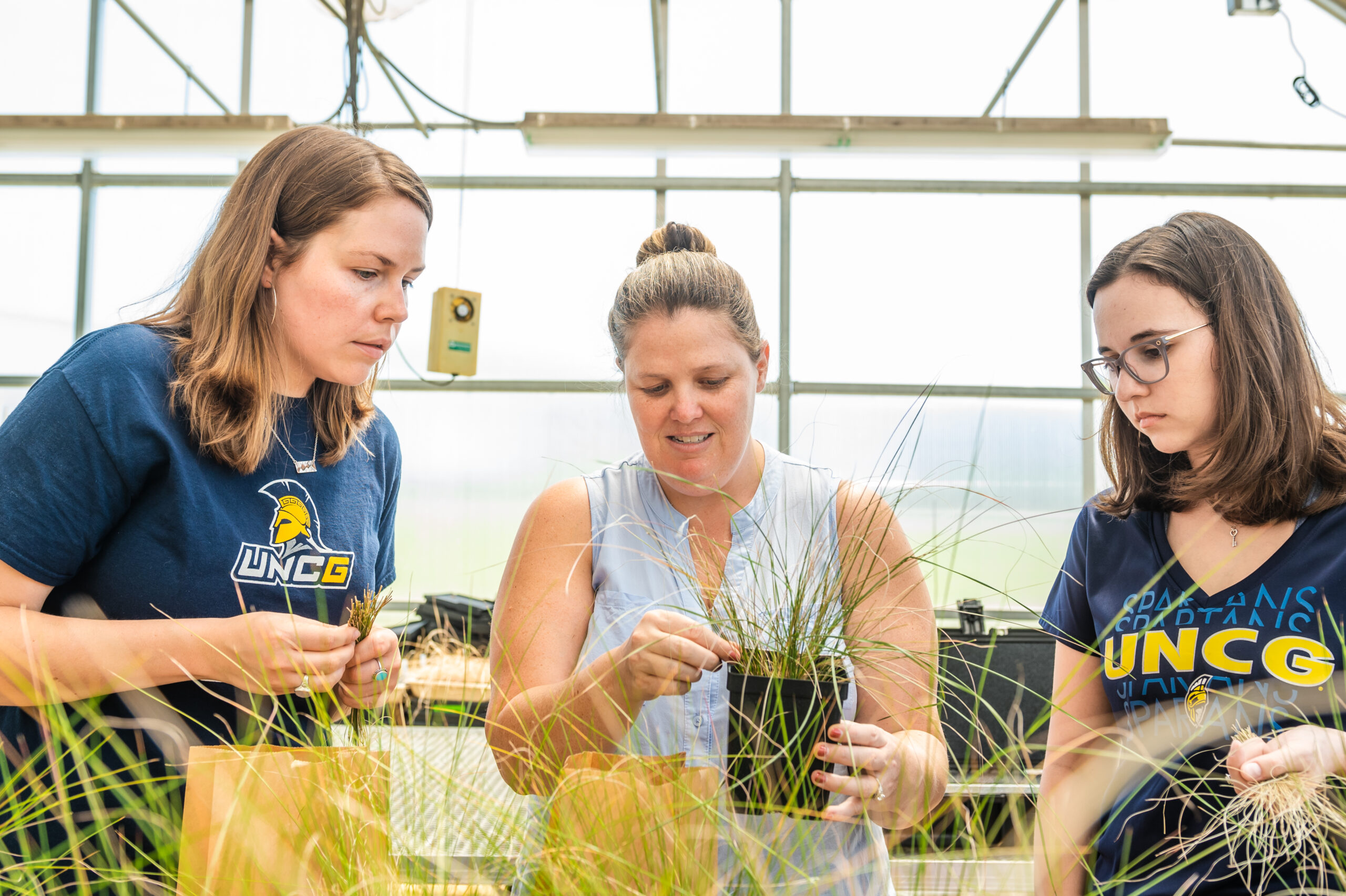 Three women study grasses in a greenhouse.