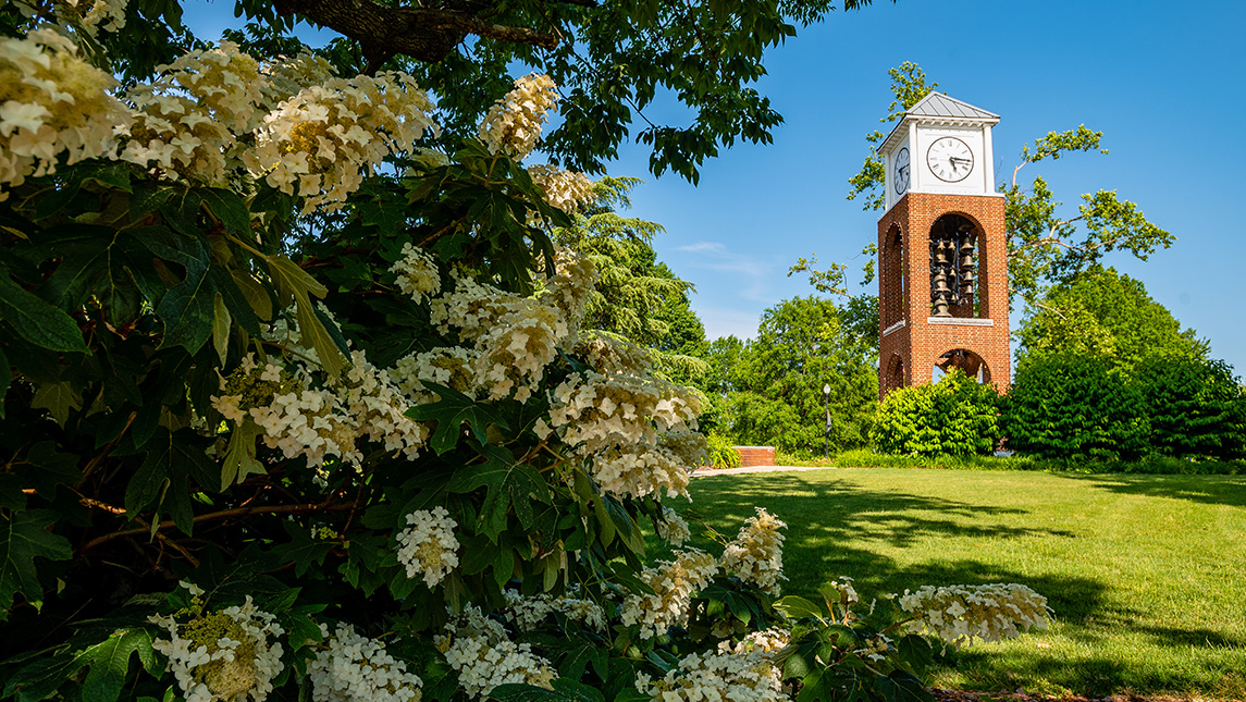 The clock tower at UNCG surrounded by summer foliage.