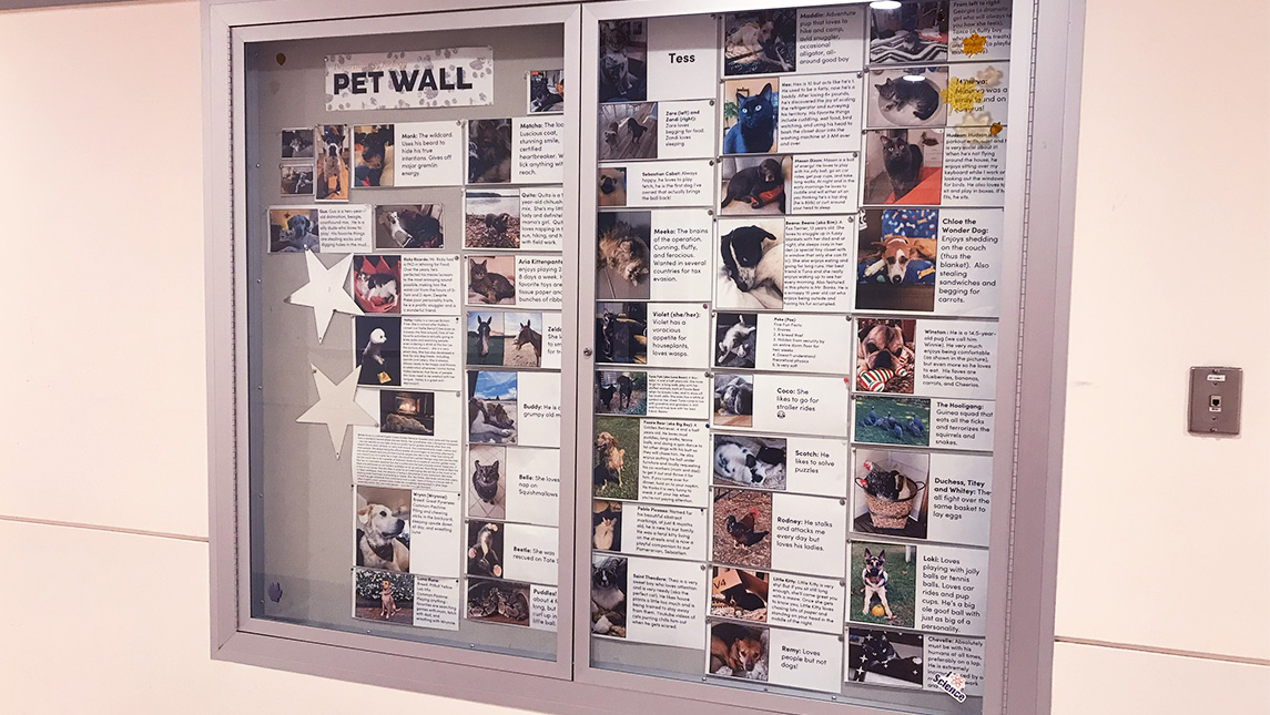 Wall display full of pet photos at UNCG.