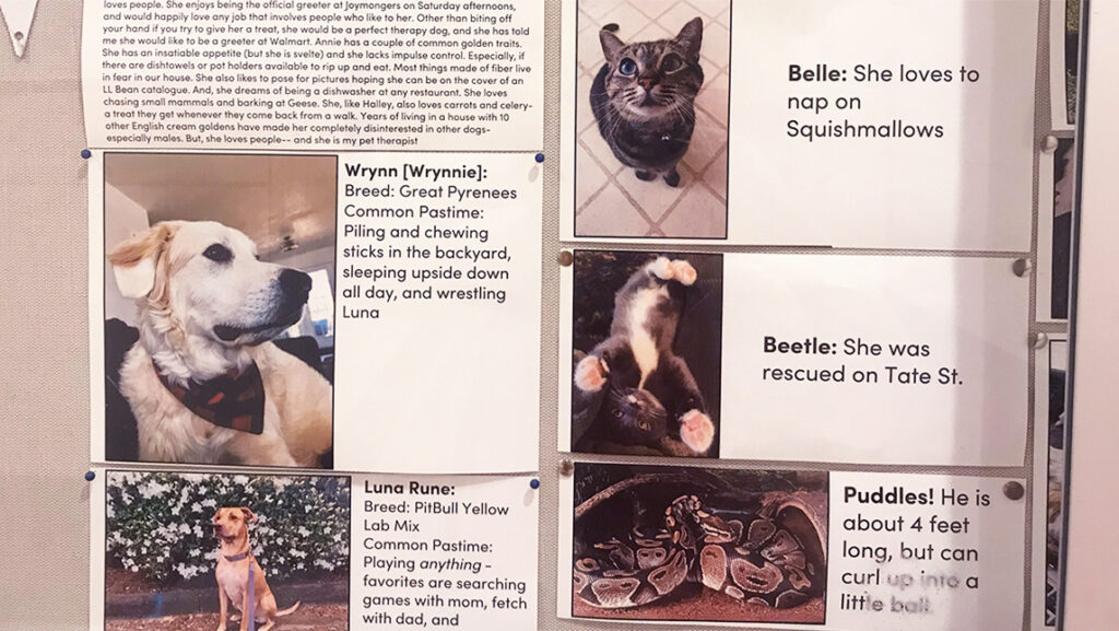 Photos of dogs, cats, and snake who belong to faculty and students at UNCG.
