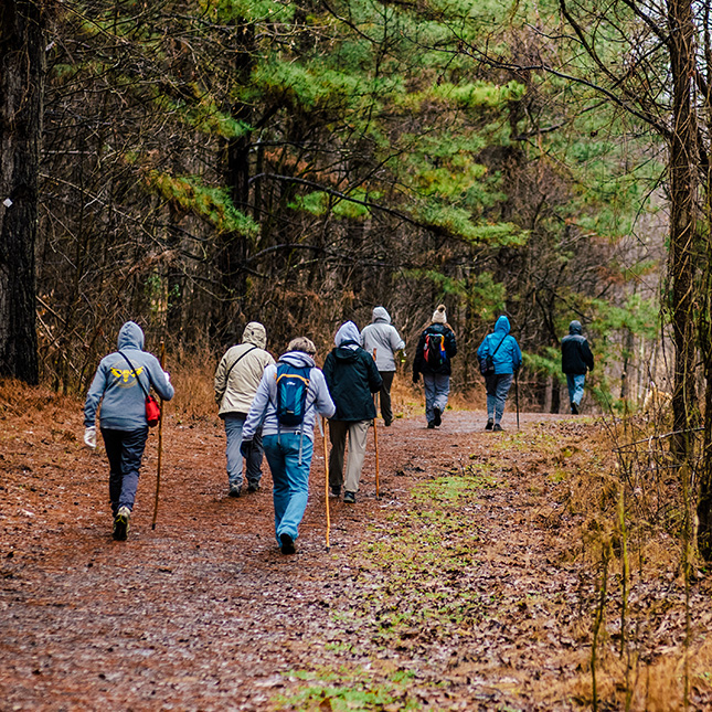 Hikers walking in cold/wet weather gear through the forest. 