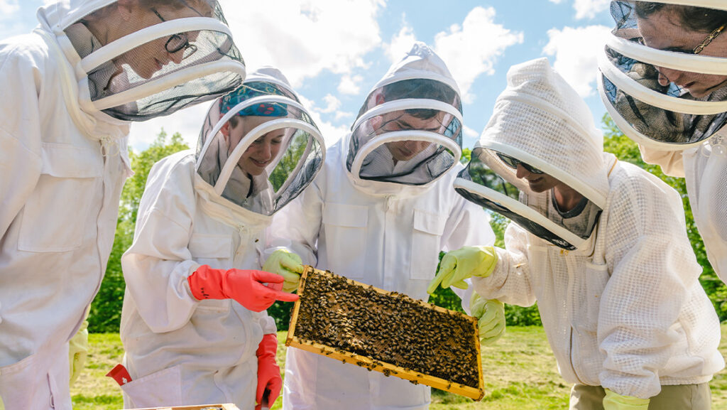 Dr. Kasie Raymann and her students tending to bee hives.