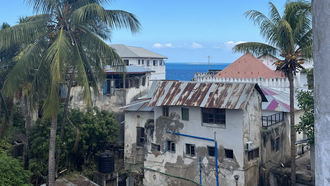 Old buildings with palm trees around and the ocean in the background. 