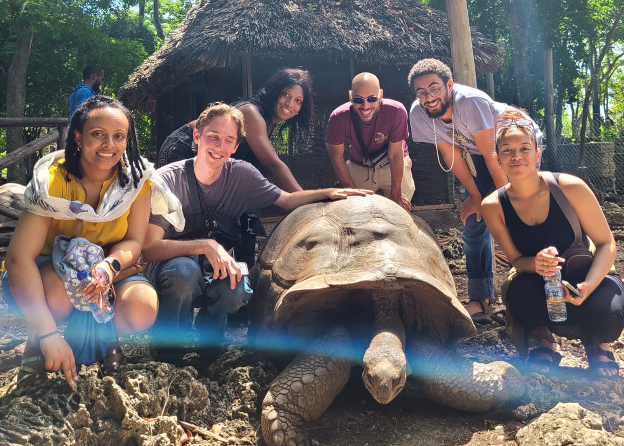 Group of students pose around a huge tortoise with a thatched hut behind them.