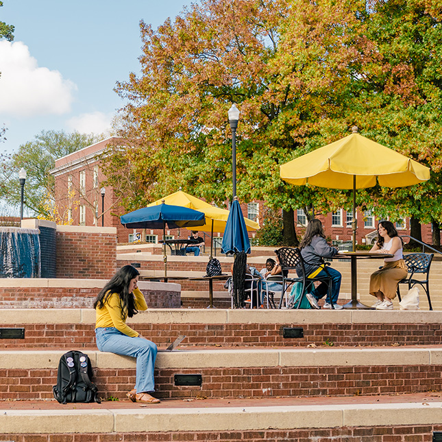 Students studying outside in the fall in front of Moran Commons. 