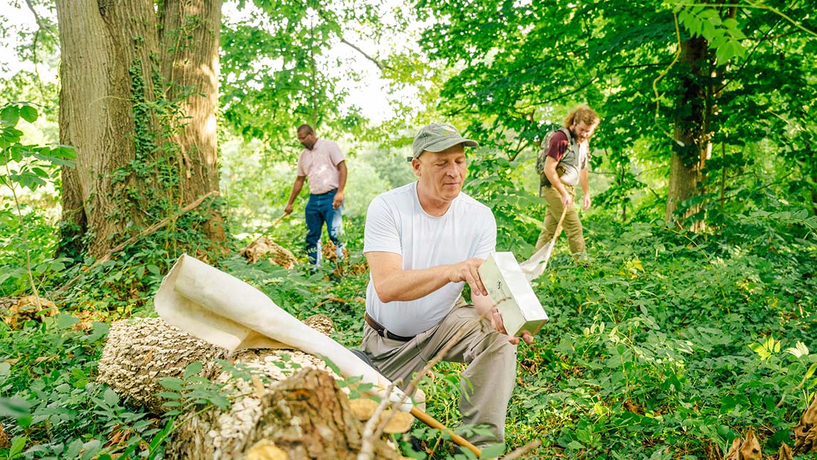 A scientist in a white shirt kneels in the forest with two students behind him.