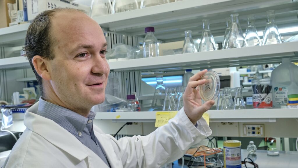 Dr. Eric Josephs, a professor in the JSNN, working in his lab.